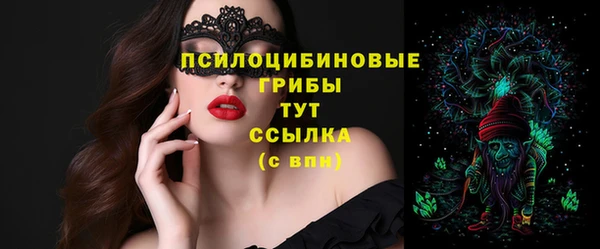 индика Иноземцево