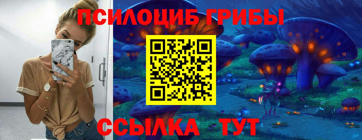  COCAIN Кириши