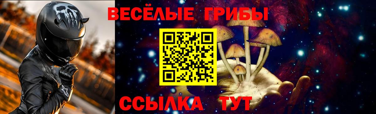 Кириши  Галлюциногенные грибы прущие грибы  Вход с VPN 