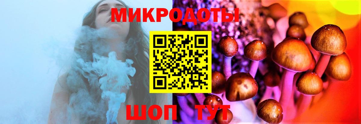 Галлюциногенные грибы прущие грибы Кириши