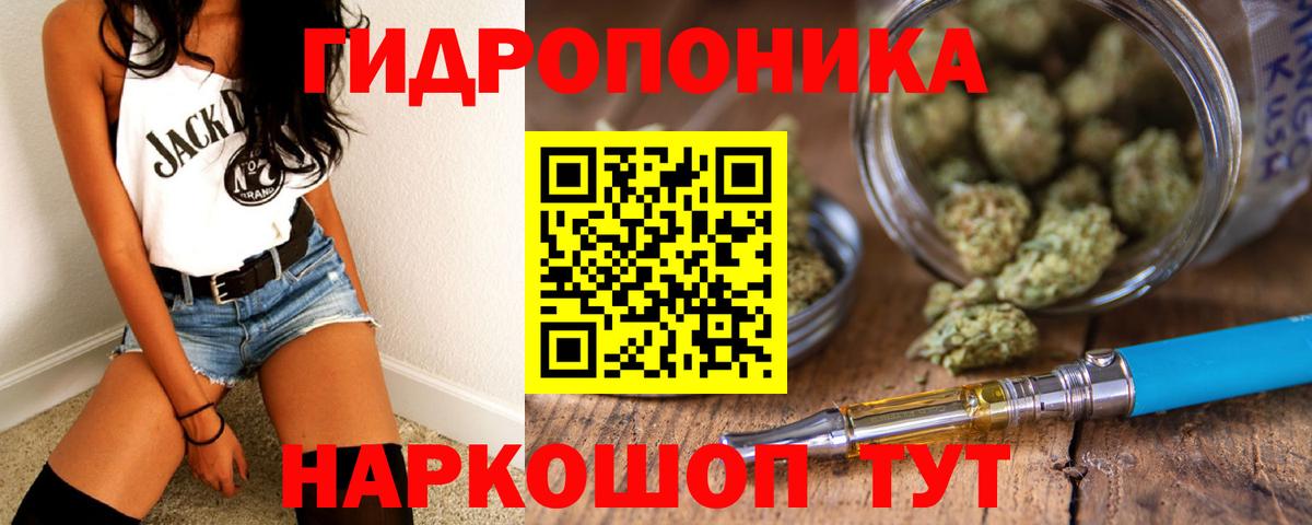 Бошки Шишки конопля  Вход с VPN  Каннабис SATIVA & INDICA  Канабис SATIVA & INDICA  Кириши 